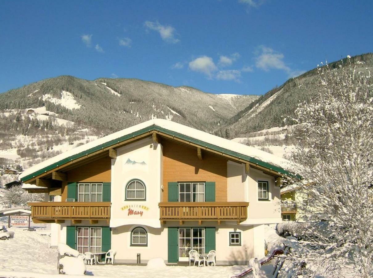 Appartements Mary Inklusive Tauern-Spa Kaprun Ngoại thất bức ảnh